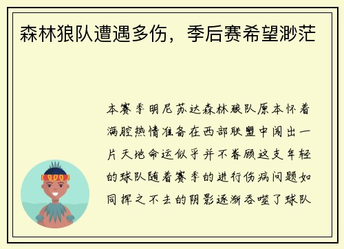 森林狼队遭遇多伤，季后赛希望渺茫