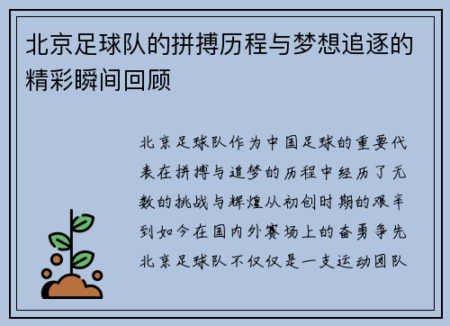 北京足球队的拼搏历程与梦想追逐的精彩瞬间回顾